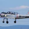 Kehler Flugtage 21.06.2014