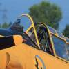 Kehler Flugtage 21.06.2014