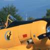 Kehler Flugtage 21.06.2014