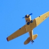 Kehler Flugtage 21.06.2014