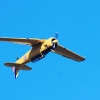 Kehler Flugtage 21.06.2014