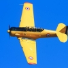 Kehler Flugtage 21.06.2014