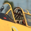 Kehler Flugtage 21.06.2014