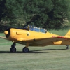 Kehler Flugtage 21.06.2014