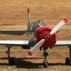 Kehler Flugtage 21.06.2014