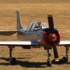 Kehler Flugtage 21.06.2014