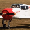 Kehler Flugtage 21.06.2014