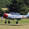 Kehler Flugtage 21.06.2014