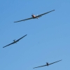 Kehler Flugtage 21.06.2014