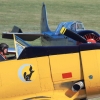 Kehler Flugtage 21.06.2014