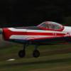 Kehler Flugtage 25.06.2011;