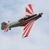 Kehler Flugtage 25.06.2011;
