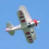 Kehler Flugtage 25.06.2011;