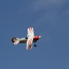 Kehler Flugtage 25.06.2011