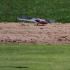 Kehler Flugtage 26.05.2016