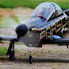 Kehler Flugtage 26.05.2016