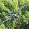 Kehler Flugtage 26.05.2016