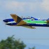 Kehler Flugtage Modellflugtag 04.06.2015