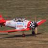 Kehler Modellflugtag 19.06.2014