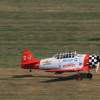 Kehler Modellflugtag 19.06.2014