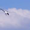 Kehler Modellflugtag 19.06.2014
