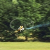 Kehler Modellflugtag 19.06.2014