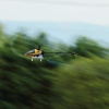 Kehler Modellflugtag 19.06.2014