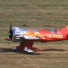 Kehler Modellflugtag 19.06.2014