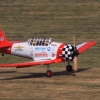 Kehler Modellflugtag 19.06.2014