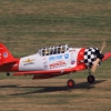 Kehler Modellflugtag 19.06.2014