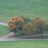 Kornbühl und Salmendinger Kapelle 13.10.2015