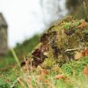 Kornbühl und Salmendinger Kapelle 13.10.2015