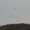 Kornbühl und Salmendinger Kapelle 13.10.2015