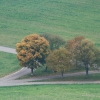Kornbühl und Salmendinger Kapelle 13.10.2015