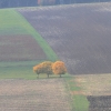Kornbühl und Salmendinger Kapelle 13.10.2015