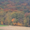 Kornbühl und Salmendinger Kapelle 13.10.2015
