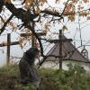 Kornbühl und Salmendinger Kapelle 13.10.2015