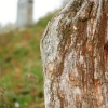 Kornbühl und Salmendinger Kapelle 13.10.2015