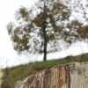 Kornbühl und Salmendinger Kapelle 13.10.2015
