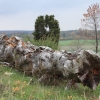 Kornbühl und Salmendinger Kapelle 13.10.2015