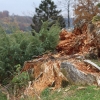 Kornbühl und Salmendinger Kapelle 13.10.2015