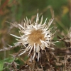 Kornbühl und Salmendinger Kapelle 13.10.2015