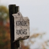 Kornbühl und Salmendinger Kapelle 13.10.2015