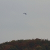 Kornbühl und Salmendinger Kapelle 13.10.2015