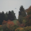 Kornbühl und Salmendinger Kapelle 13.10.2015