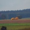Kornbühl und Salmendinger Kapelle 13.10.2015