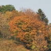 Kornbühl und Salmendinger Kapelle 13.10.2015