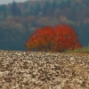 Kornbühl und Salmendinger Kapelle 13.10.2015