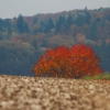 Kornbühl und Salmendinger Kapelle 13.10.2015
