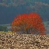 Kornbühl und Salmendinger Kapelle 13.10.2015